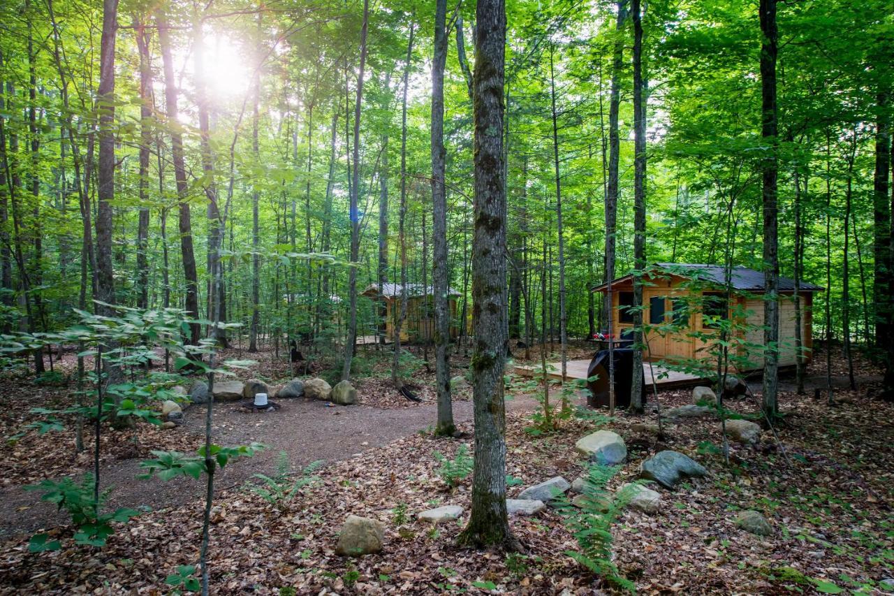 Madawaska Lodge-Cottage エクステリア 写真
