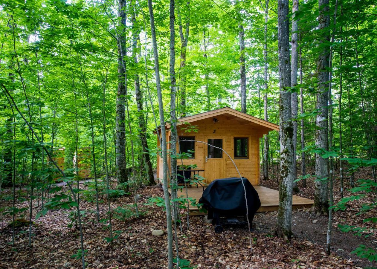 Madawaska Lodge-Cottage エクステリア 写真